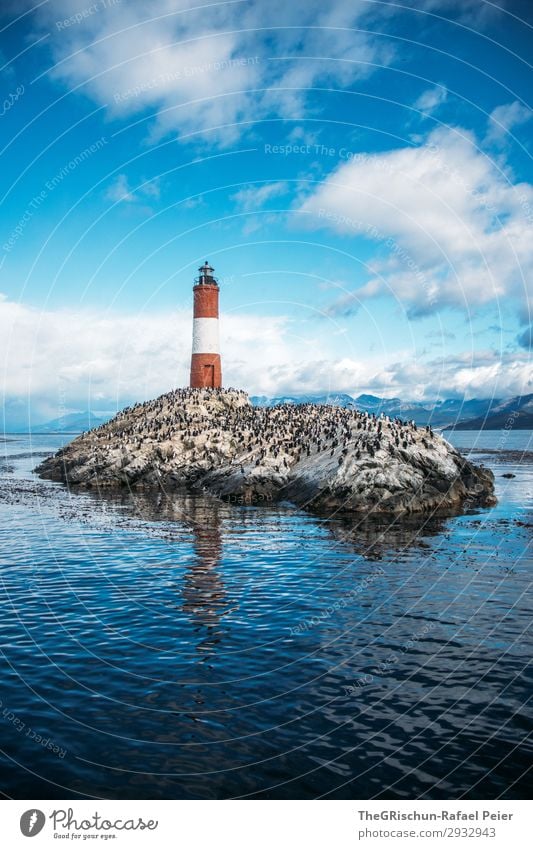 Faro Les Éclaireurs Environment Nature Clouds Esthetic Lighthouse Island Maritime disaster Rescue Warn Help Real estate Rock Reflection tierra del fuego