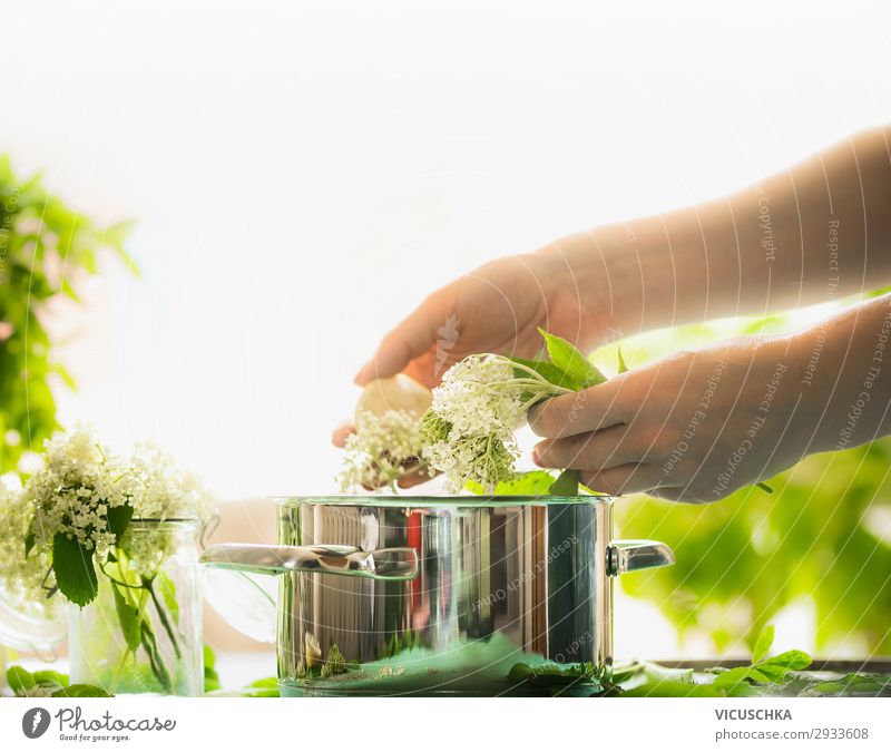 Women's hands prepare elderflowers Food Pot Style Design Healthy Eating Summer Table Kitchen Human being Feminine Woman Adults Hand Nature Wild plant Yellow