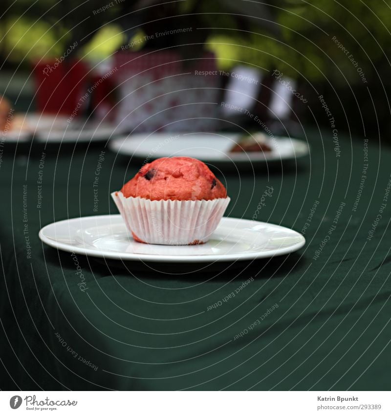 plate cake Food Cake Muffin To have a coffee Buffet Brunch Feasts & Celebrations Birthday Delicious Colour photo Exterior shot Copy Space bottom
