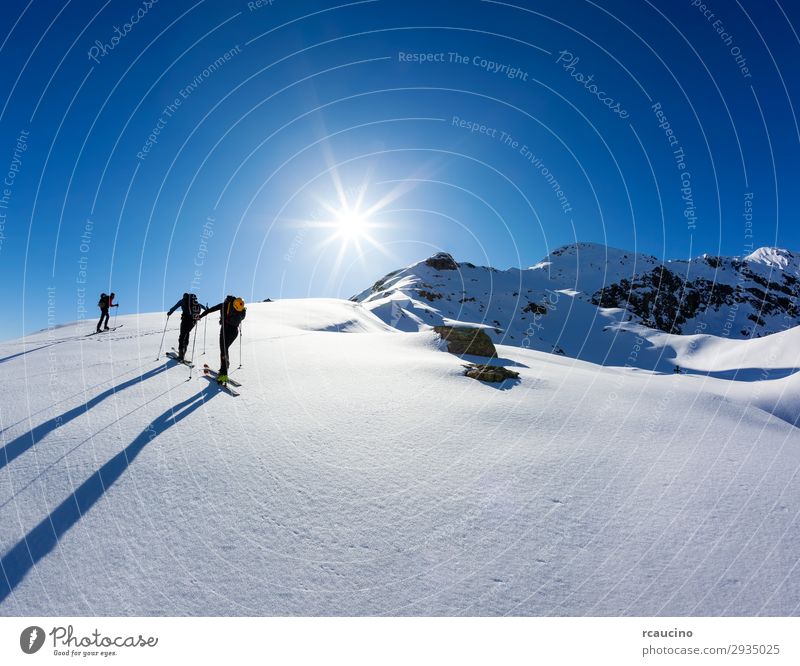 A group of skialpers Vacation & Travel Adventure Freedom Expedition Sun Winter Snow Mountain Hiking Sports Climbing Mountaineering Human being Man Adults Group