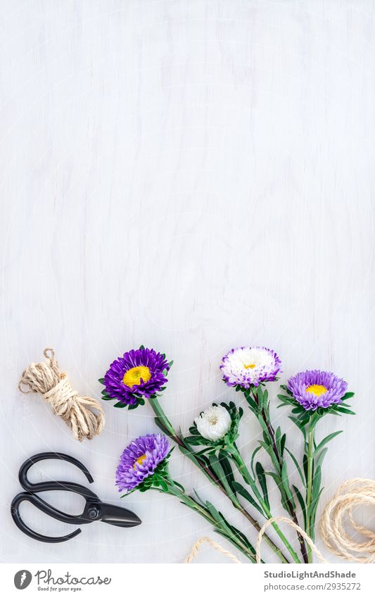 Bouquet of asters on white wooden background Shopping Design Beautiful Summer Garden Decoration Birthday Gardening Scissors Rope Nature Plant Flower Blossom