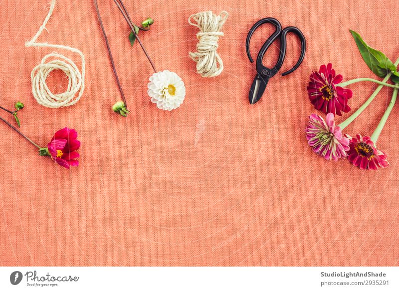 Florist workspace on peach colored canvas background Elegant Design Beautiful Decoration Work and employment Gardening Workplace Craft (trade) Scissors Rope