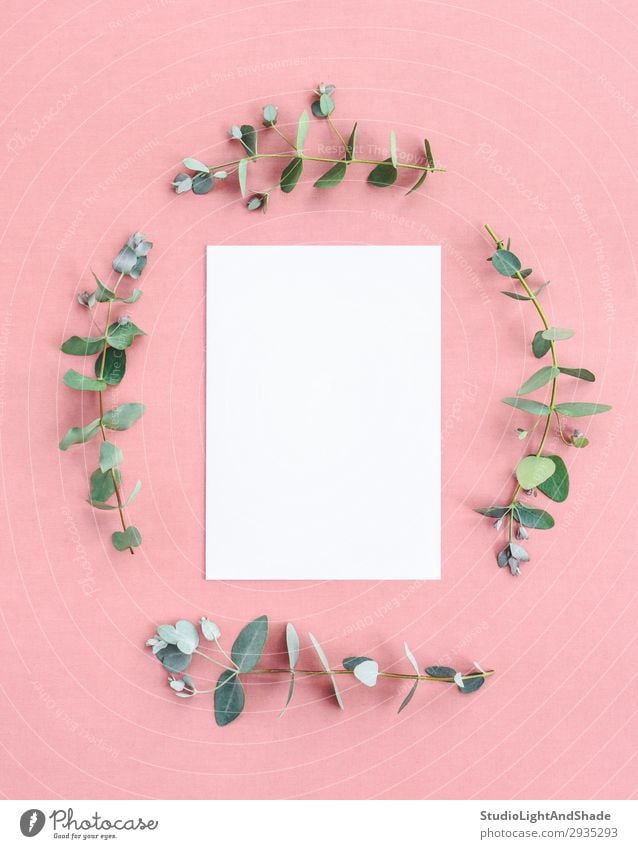 Blank paper sheet framed by eucalyptus branches Style Design Beautiful Decoration Wedding Nature Plant Leaf Fashion Cloth Paper Write Simple Fresh Hip & trendy