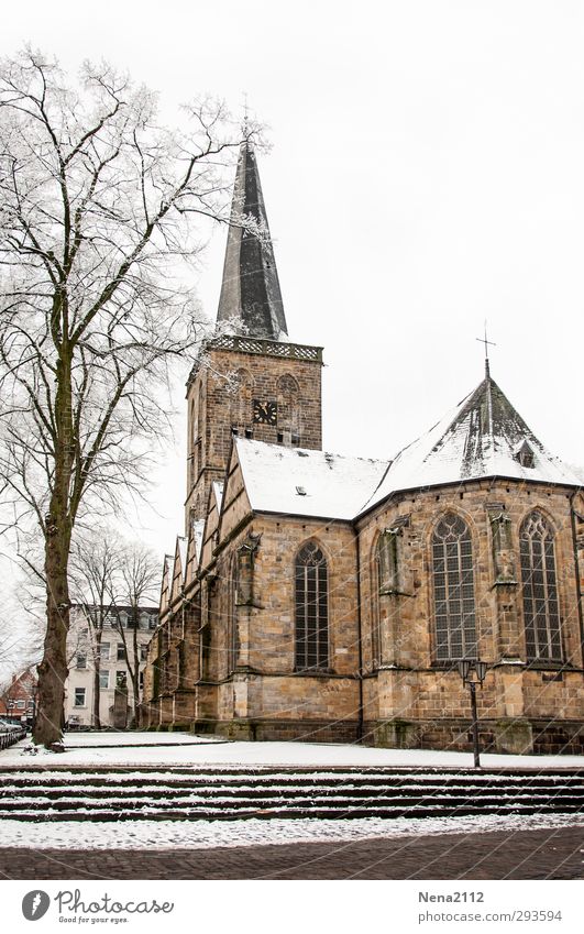 Sunday excursion destination Village Church Architecture Cold Church spire Tree Stairs White Winter Colour photo Exterior shot Deserted Copy Space top