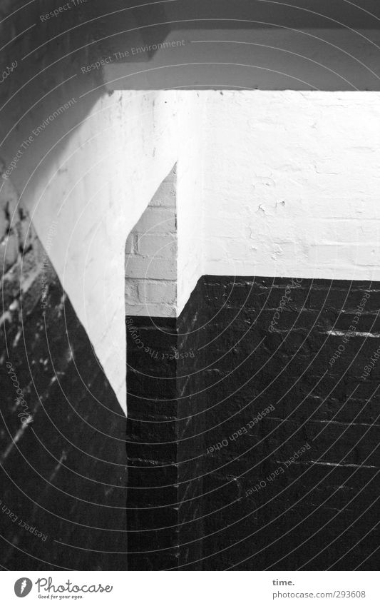 downstairs Interior design Cellar Cellar arch Cellar wall Cellar door Glittering Creepy Historic Curiosity Under Town Gray Black White Claustrophobia Discover