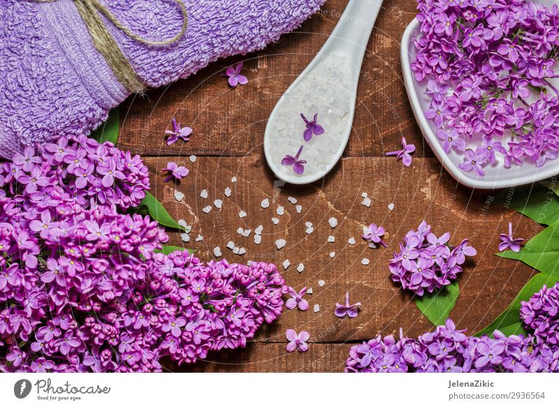 Aromatherapy, wellness and spa with lilac flowers Bowl Lifestyle Beautiful Body Skin Cosmetics Medical treatment Wellness Relaxation Spa Table Nature Flower
