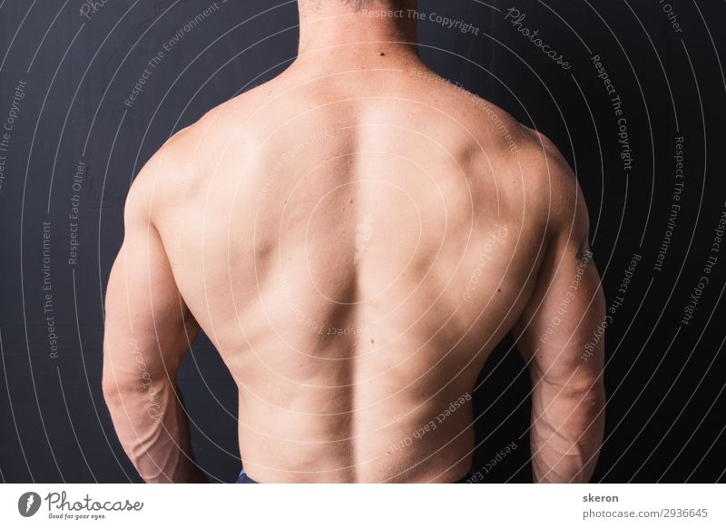 powerful bodybuilder back Lifestyle Body Health care Wellness Sports Fitness Sports Training Sportsperson Parenting Education Human being Masculine 1