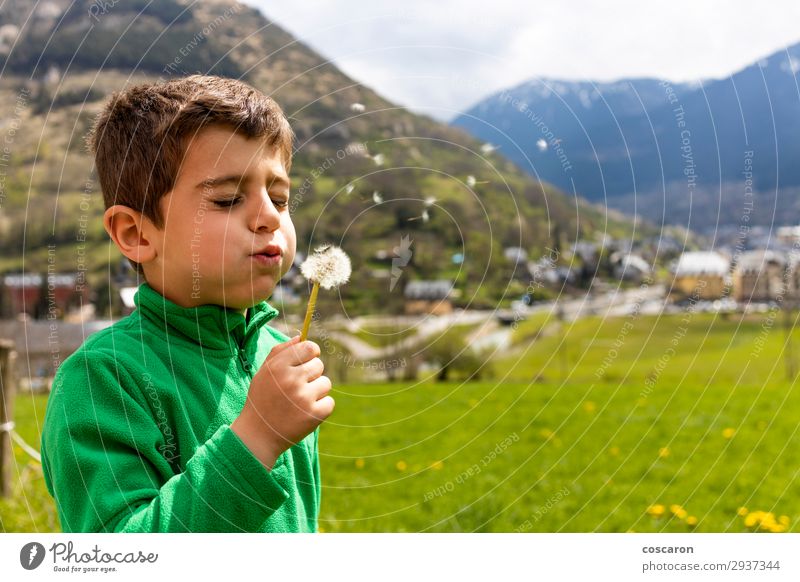 Little boy blowing a dantelion in a green field Lifestyle Joy Beautiful Face Relaxation Leisure and hobbies Playing Freedom Summer Mountain Child Human being