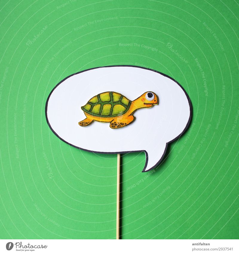 Start of the new week Handicraft Draw Illustration Foam rubber Environment Nature Animal Water Climate change Garden Animal face Zoo Aquarium Turles Turtle 1