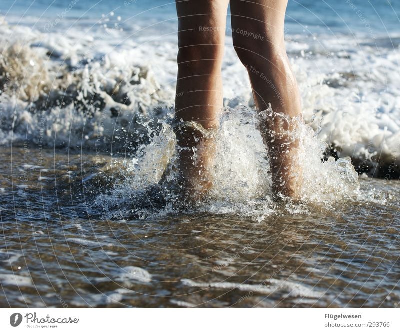 minitsunami Summer Summer vacation Sun Sunbathing Beach Ocean Island Waves Swimming pool Feet 1 Human being Coast Lakeside North Sea Baltic Sea Water