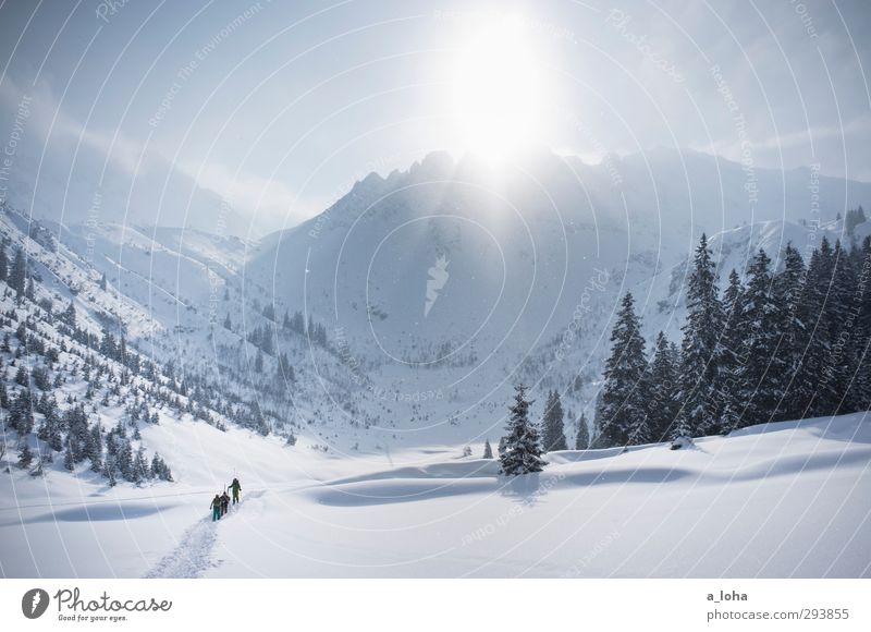 to be alone with you Lifestyle Sports Winter sports Skiing Environment Nature Landscape Elements Sky Sun Sunlight Beautiful weather Snow Forest Alps Mountain