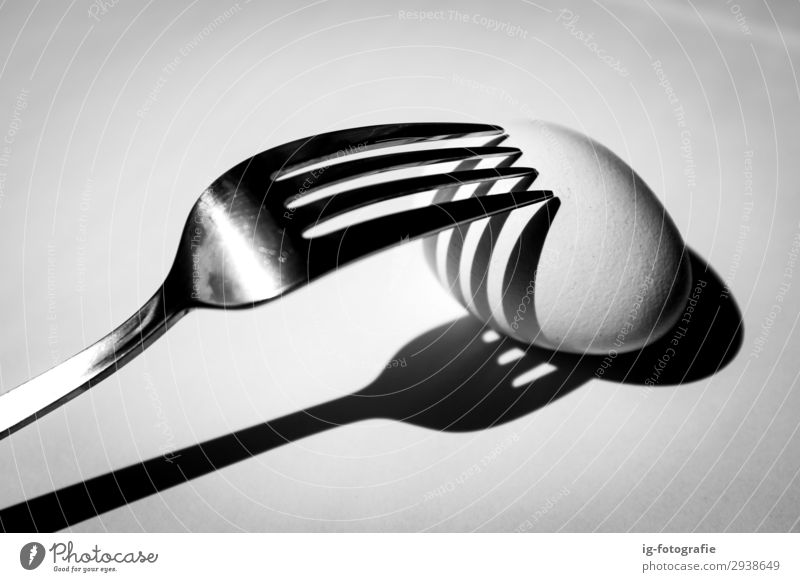 Fork and egg in the shade Food Egg Nutrition Breakfast Organic produce Diet Cutlery Lifestyle Elegant Style Eating Esthetic Exceptional Black White Shadow Art