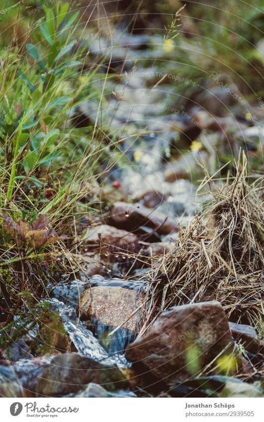 running water at the mountain stream Environment Nature Forest Hill Mountain Esthetic Brook Water Flow Stone Runlet Rainwater Scotland Exterior shot Plant Wet