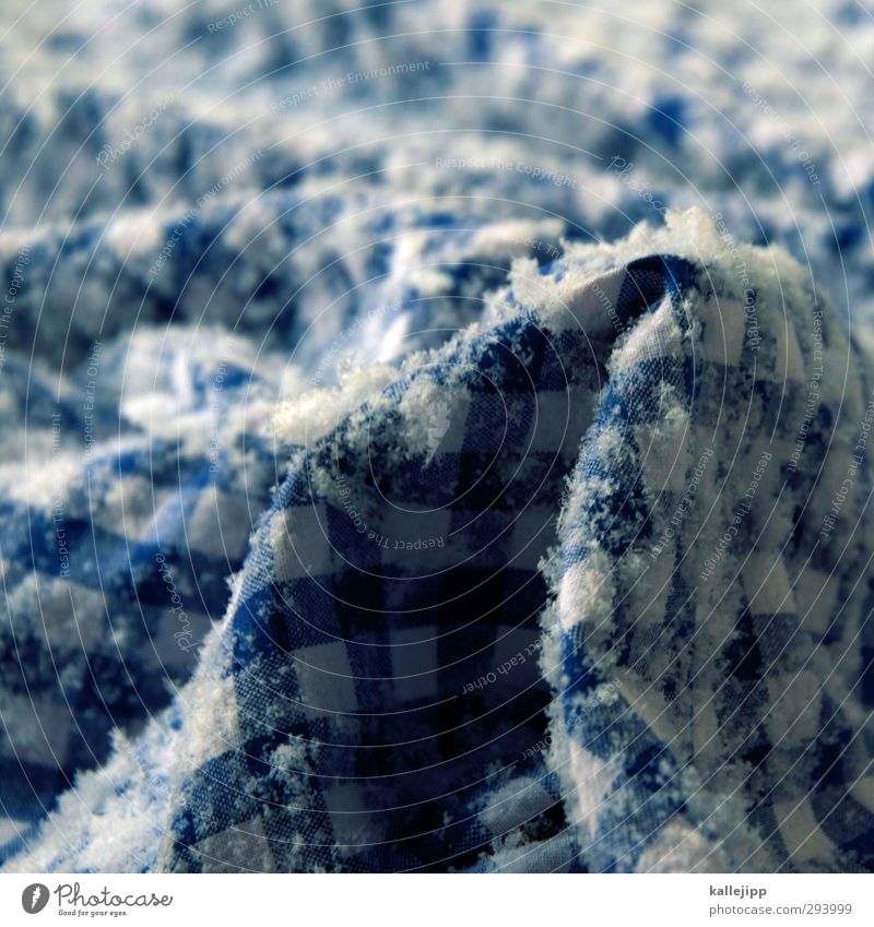 Zugspitze Gastronomy Blue Tablecloth Winter Wrinkles Frost Crystal structure Snowfall Snowflake Bavaria Checkered Oktoberfest Colour photo Close-up Detail Light