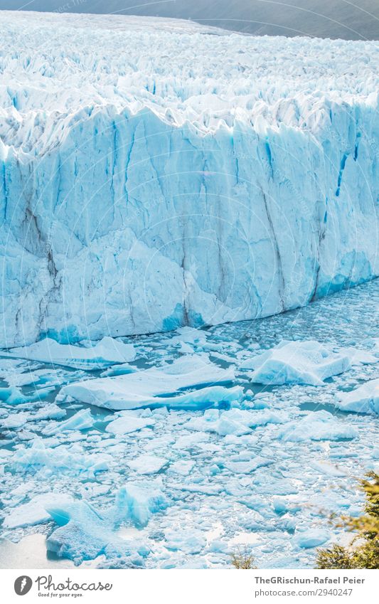 Perito Moreno Glacier - Argentina Nature Blue White Ice floe Melt Crack & Rip & Tear Climate change To break (something) Water Patagonia Colour photo
