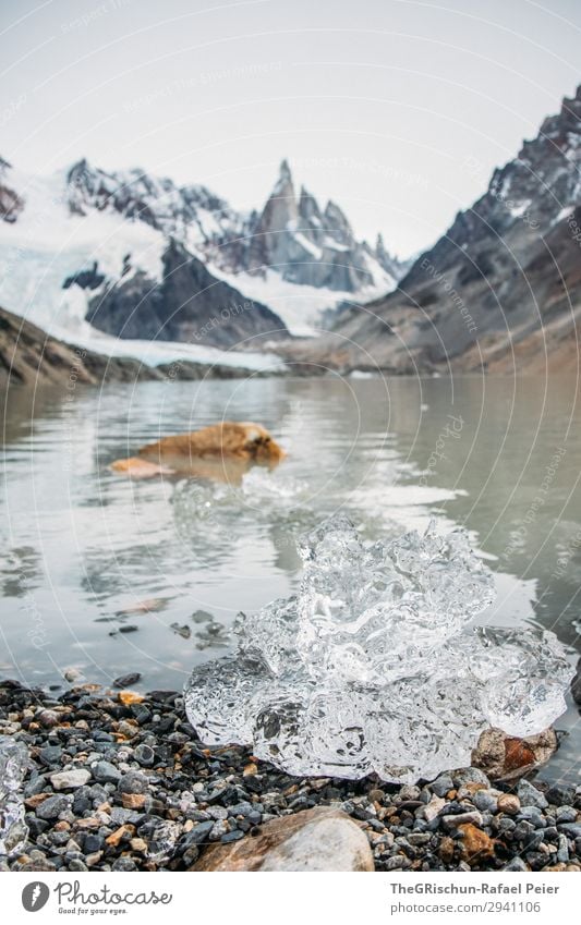 ice Nature Gray White Cerro Torre Ice Water Lake Mountain Glacier Melt Patagonia Stone Colour photo Exterior shot Deserted Copy Space top Copy Space bottom Day