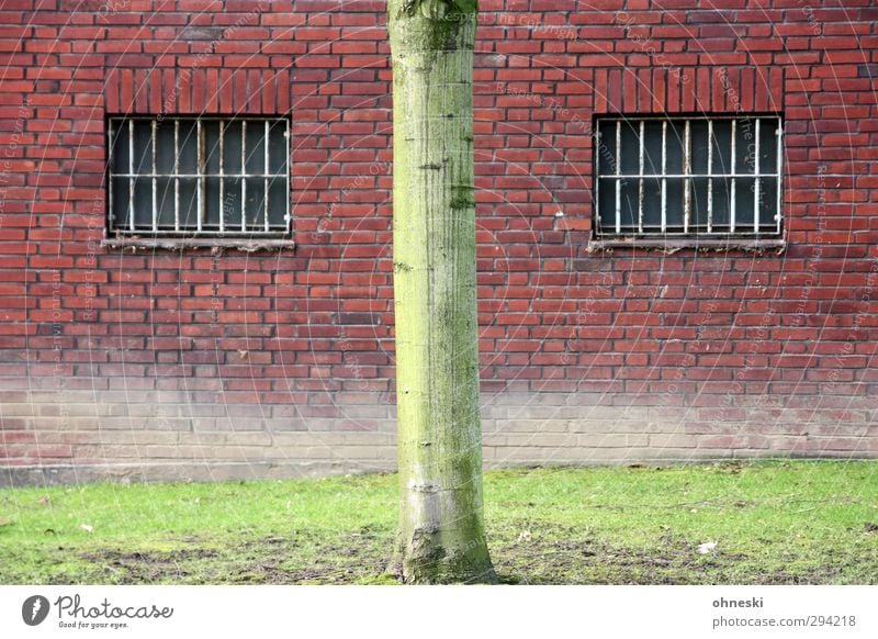 *800* B-| Tree Tree trunk Meadow Building Penitentiary Wall (barrier) Wall (building) Facade Window Grating Looking Green Red Colour photo Exterior shot