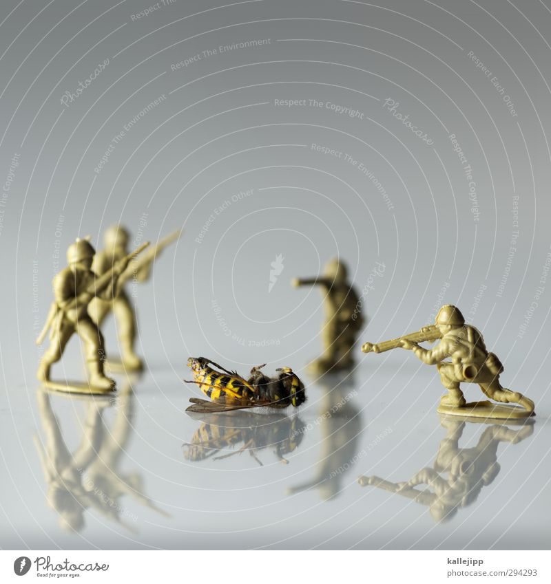 yellow tinge Playing Human being Masculine 4 Group Dead animal 1 Animal War Crisis Soldier Wasps Death Weapon Gunpoint Reflection Rifle Toys Toy arms Attack
