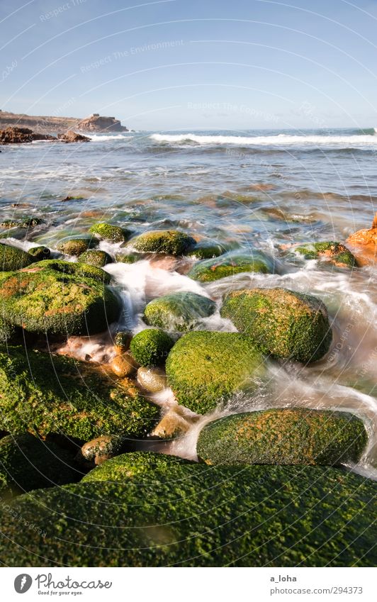 even flow Environment Nature Elements Water Drops of water Cloudless sky Horizon Summer Beautiful weather Warmth Plant Algae Rock Waves Coast Beach Bay Ocean