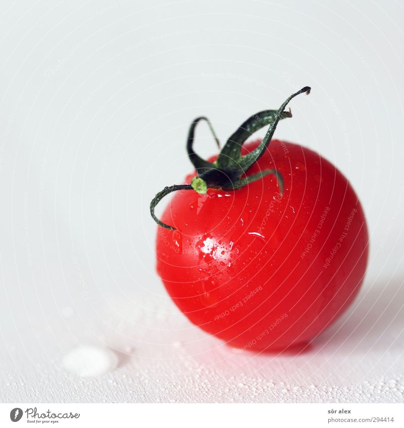clean Food Vegetable Tomato Nutrition Breakfast Organic produce Vegetarian diet Diet Fresh Delicious Red White Bright background 1 Round Healthy Eating Natural