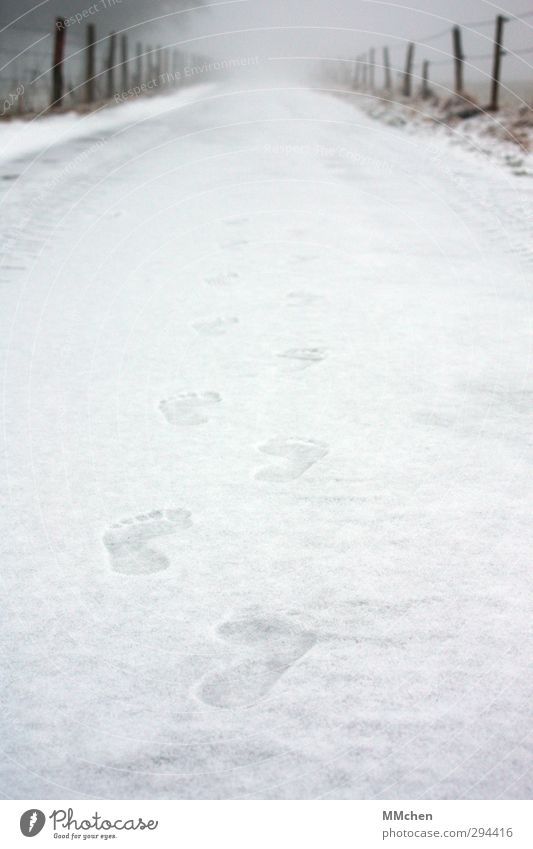 Who's about to get cold feet? Beautiful Personal hygiene Pedicure Healthy Winter Weather Ice Frost Snow Deserted Pedestrian Lanes & trails Walking Cold White