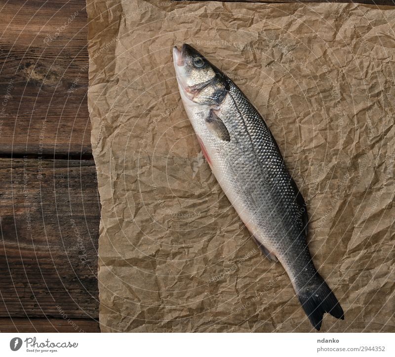 fresh whole sea bass fish Seafood Nutrition Ocean Kitchen Animal Paper Wood Fresh Above Brown Gray Raw labrax cooking board scale one Colour photo Studio shot
