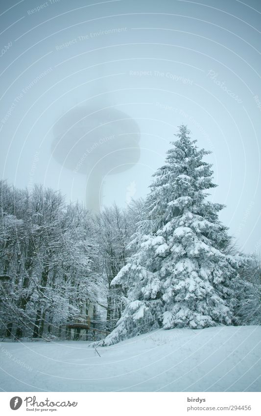 Tower in the fog in a snowy landscape. Winter forest Nature Landscape Fog Snow Tree Fir tree Exceptional Gigantic Tall Blue White Hazy Vogelsberg Forest