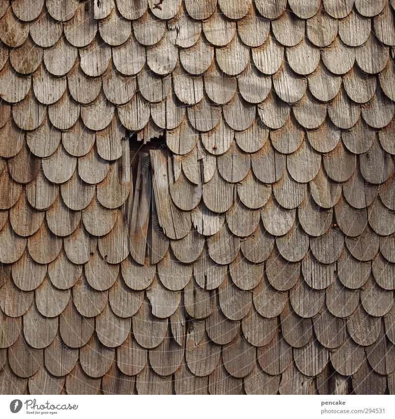 psoriasis House (Residential Structure) Facade Wood Symmetry Scales Roofing tile Shingle Round Reticular scale pattern Tradition Arrangement Surface overlap