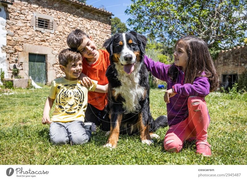 Three little kids with a Bernese dog Lifestyle Joy Happy Beautiful Playing Summer Summer vacation Garden Child Human being Masculine Feminine Toddler Girl