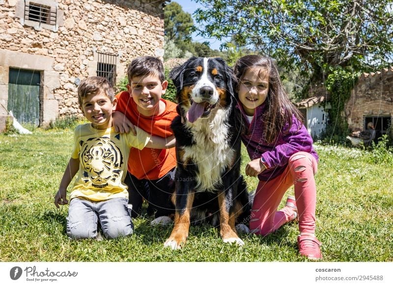 Three little kids with a Bernese dog Lifestyle Joy Happy Beautiful Playing Vacation & Travel Summer Garden Child Human being Masculine Feminine Toddler Girl