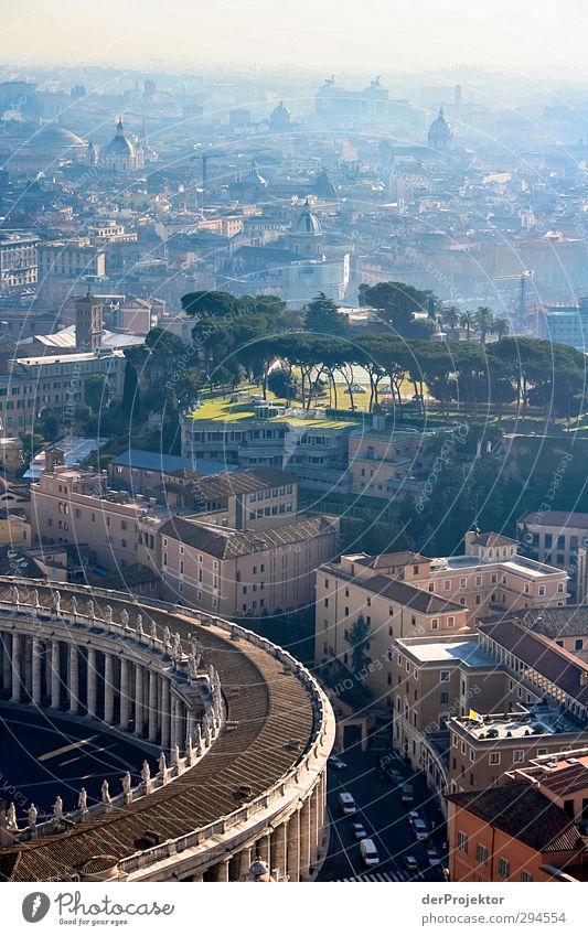 View from St. Peter's Basilica Capital city Downtown Populated House (Residential Structure) Church Dome Palace Park Tourist Attraction Landmark Monument