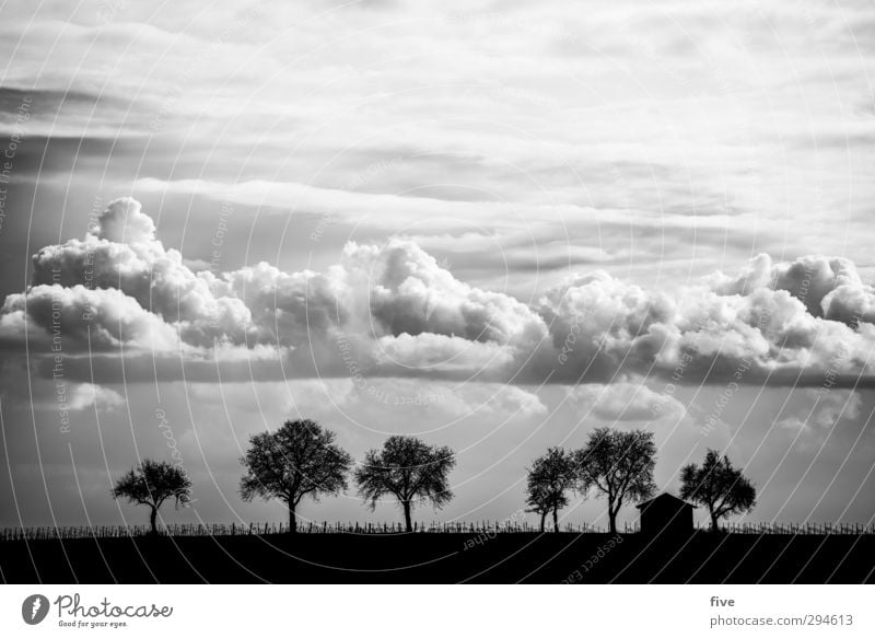 Palatinate Nature Landscape Sky Clouds Beautiful weather Plant Tree Meadow Field Hill House (Residential Structure) Hut Infinity Fence Black & white photo