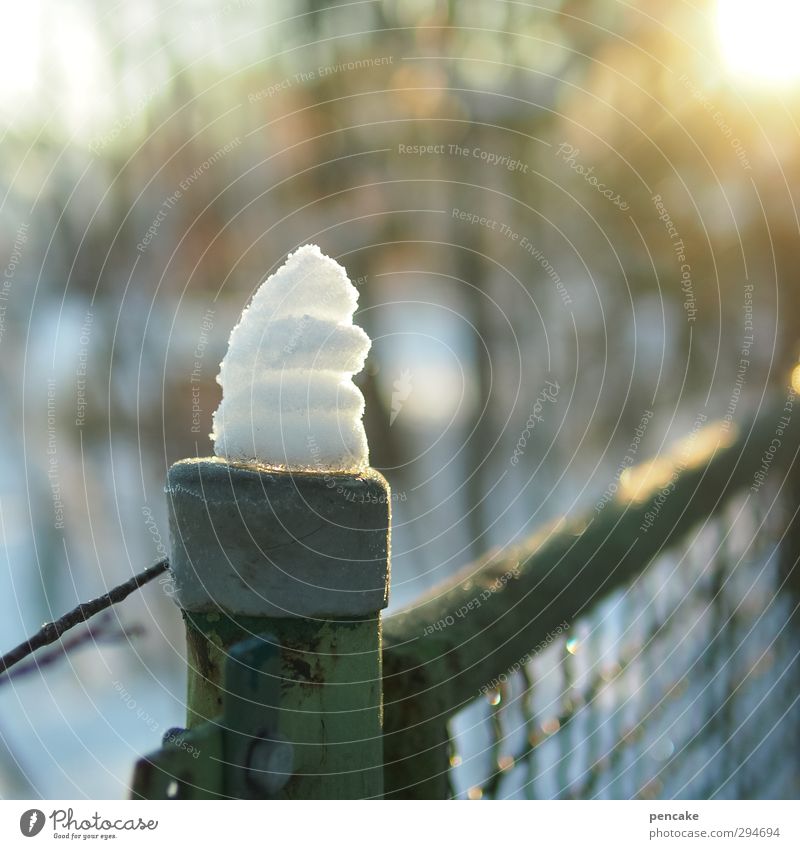 ray of hope | soft ice lemon Nature Winter Snow Growth Soft ice cream Citron ice cream Fence Visual spectacle Beam of light Refraction Bright spot Colour photo