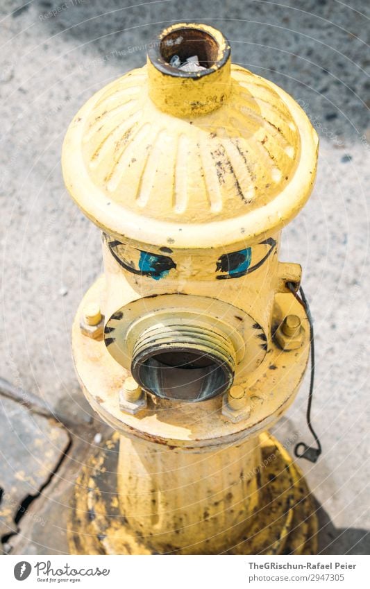 friendly face Art Blue Yellow Fire hydrant Painted Embellish Eyes Chile Valparaíso Water Colour photo Exterior shot Deserted Copy Space bottom Day Light Shadow