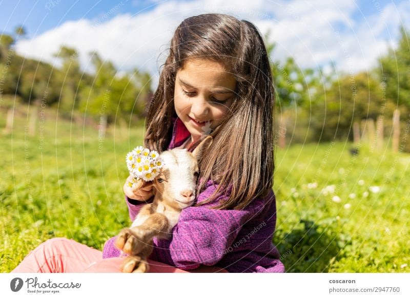 Cute Little Girl Putting Flowers Ona Agoat S Head A Royalty Free Stock Photo From Photocase