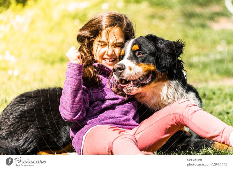 Little girl with a Bernese mountain dog Lifestyle Joy Happy Leisure and hobbies Playing Vacation & Travel Summer Mountain Child Human being Feminine Baby