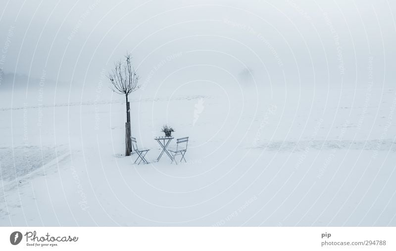 Veronica, the spring is here. Environment Nature Landscape Spring Winter Climate change Fog Snow Plant Meadow Cold Loneliness Expectation Table Chair Beer table