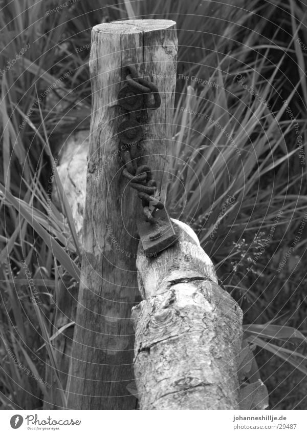 just nature... Wood Fence Castle Nature Joist Pole Black & white photo