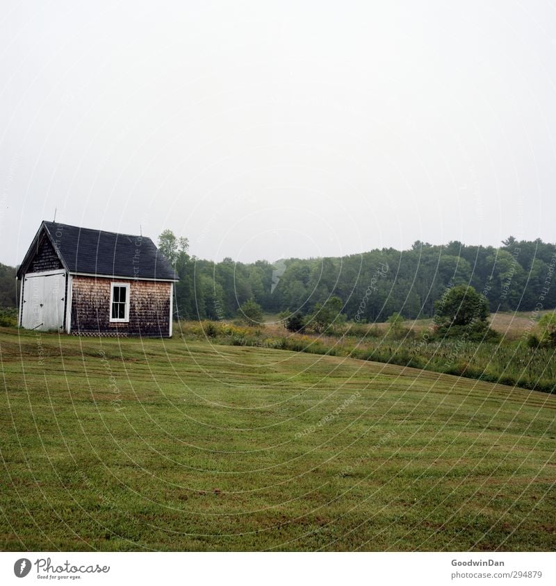 New England. Environment Nature Grass Garden Small Town Outskirts Deserted House (Residential Structure) Hut Facade Old Cold Colour photo Exterior shot Day
