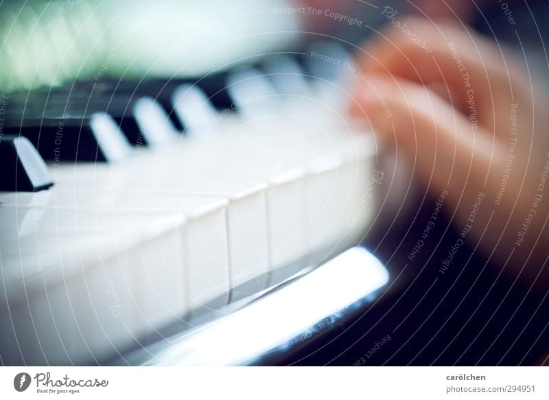 music Music Piano Blue Keyboard Make music music school Music tuition Colour photo Interior shot Detail Macro (Extreme close-up) Deserted Shallow depth of field