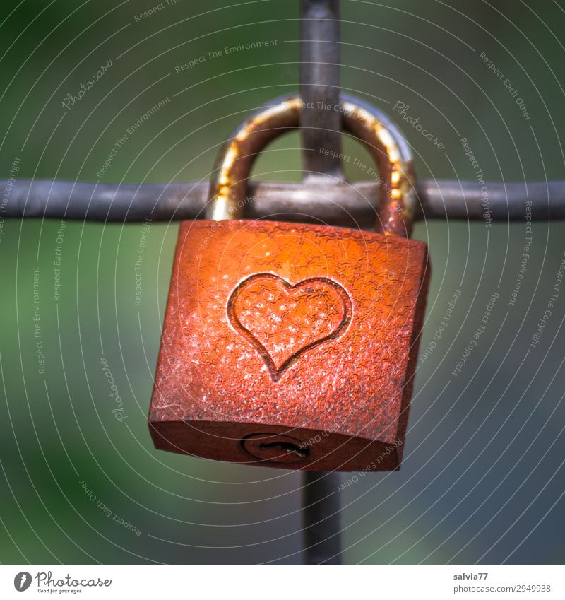 Heart closed Metal Sign Characters Ornament Lock Steel Rust Iron Trust Safety Love Padlock Colour photo Exterior shot Close-up Copy Space left Copy Space top
