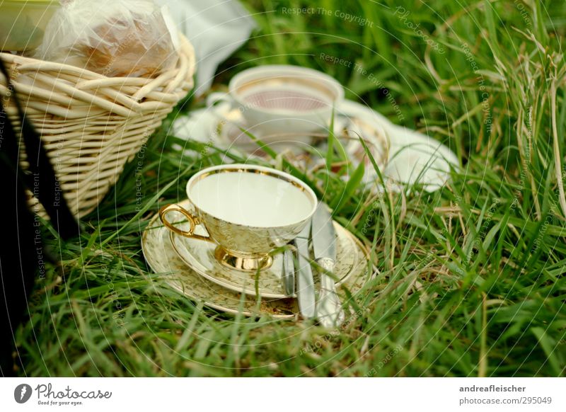 have a picnic Lifestyle Joy Happy Happiness Contentment Joie de vivre (Vitality) Spring fever Crockery Cutlery Picnic basket Basket Tea cup Meadow Grass Green