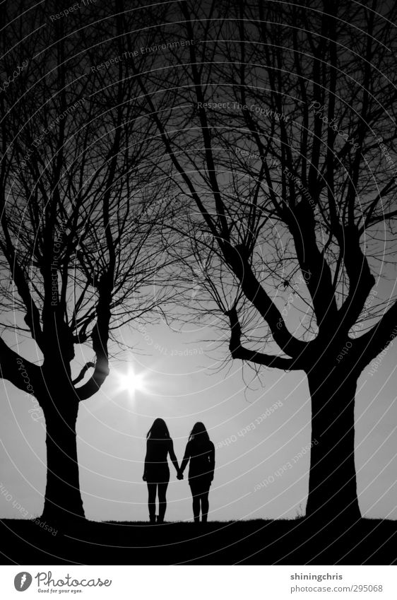 together / bff Human being Feminine Young woman Youth (Young adults) Friendship Couple 2 13 - 18 years Child Nature Sky Sunrise Sunset Sunlight Winter Tree Park
