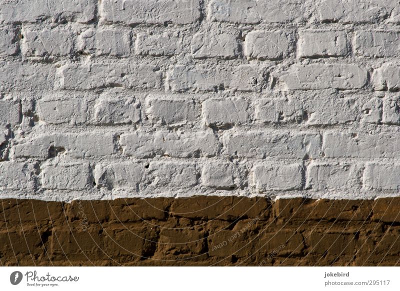 freshly painted Wall (barrier) Wall (building) White Brick Paintwork Structures and shapes Brick construction Brown Colour photo Exterior shot Deserted