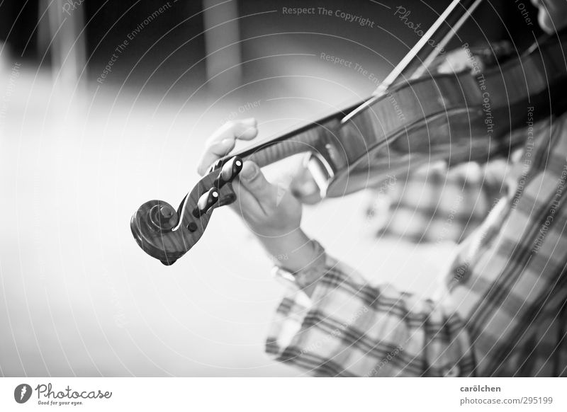 music Music Playing Violin String instrument Hand Grasp Make music Musician Musical instrument music school Music tuition Black & white photo Detail