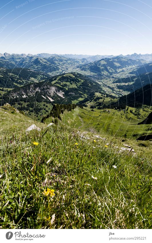 Bernese Prealps Harmonious Well-being Calm Trip Summer Mountain Hiking Sporting Complex Landscape Plant Grass Meadow Forest Alps Saanenland Authentic