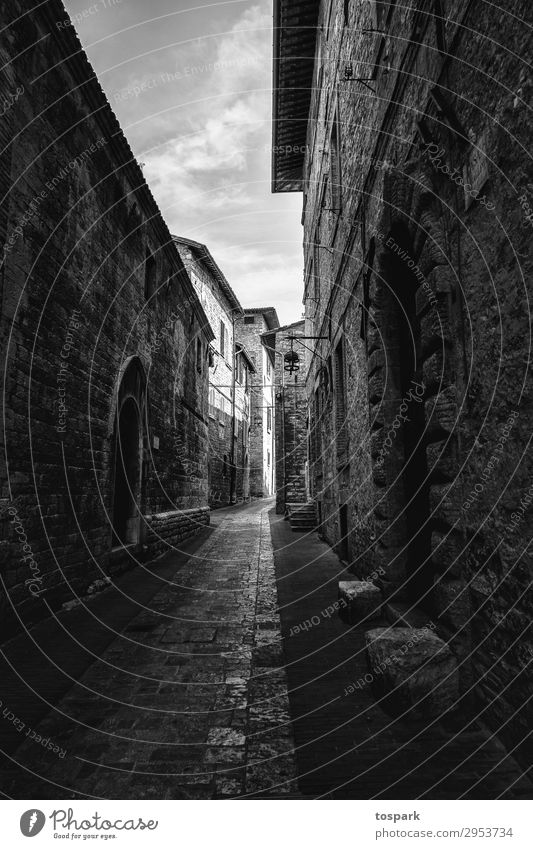 Road in the shade Street Moody Exterior shot Exceptional Perspective Italy Tuscany Florence Pisa
