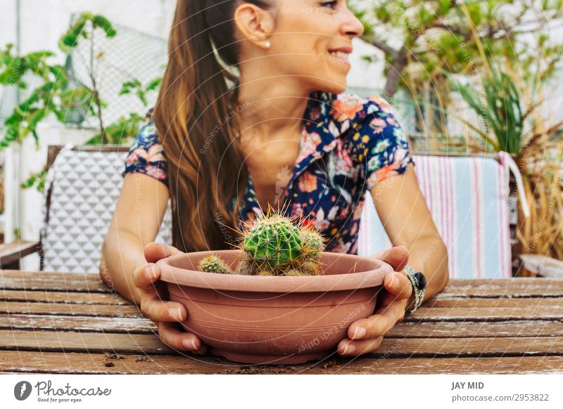 Closeup of a woman holding a pot of cactus in the terrace Pot Lifestyle Summer Garden Decoration Table Gardening Human being Feminine Woman Adults Hand 1