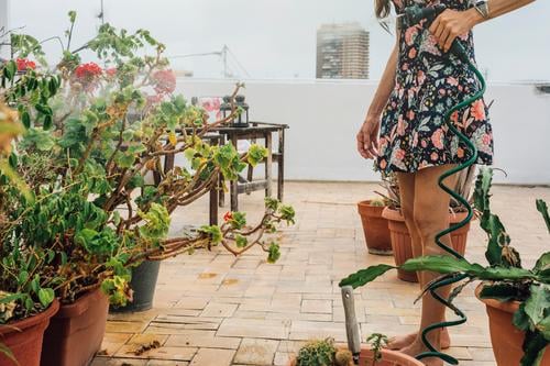 Woman in flowered dress watering plants with hose in summer- Lifestyle Beautiful Leisure and hobbies Summer Garden Work and employment Gardening Tool