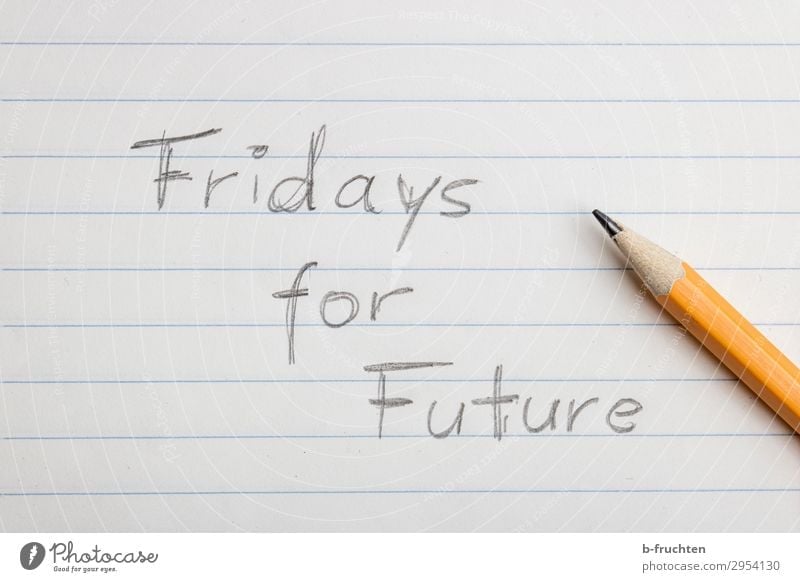 fridays for future Education School Environment Nature Climate Climate change Paper Piece of paper Pen Utilize Write Future Demonstration Opinion Freedom
